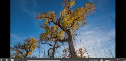 4K Downloader screenshot 3