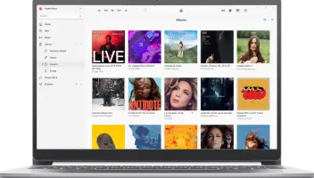 The Apple Music window with a library of albums.