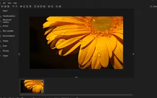 Ashampoo Snap 17 - Editor