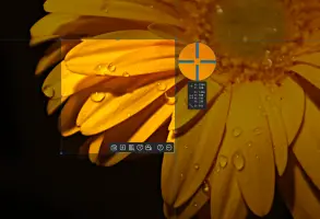 Ashampoo Snap 17 - Example screenshot