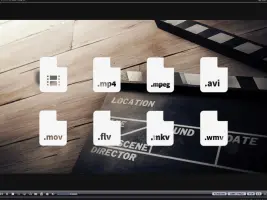 AVS Media Player screenshot 2
