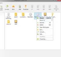 Images tab