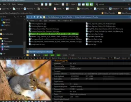 Directory Opus: File search results, squirrel preview, and image metadata