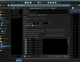 Directory Opus: Bulk file renaming dialog with preview of new filenames