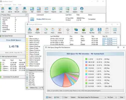 DiskBoss: DiskBoss server analysis windows with a disk space pie chart