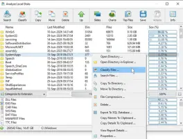 DiskBoss: DiskBoss local disk analyzer with file actions menu open