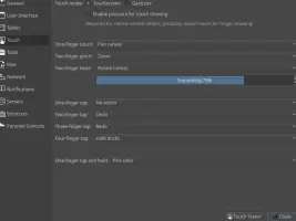 Touch input preferences