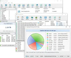 DupScout: Duplicate file results and disk space chart in DupScout