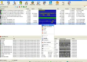 eMule Community Version screenshot 2