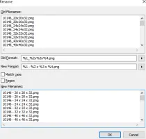 Everything Multi-file Rename Screenshot