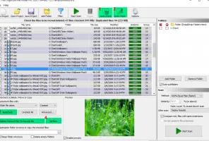 Find duplicate files