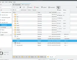File Centipede File browser FTP