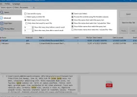 FileSeek: Advanced search options with matching file results