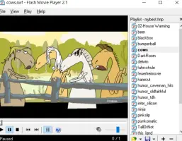 Flash Movie Player with playlist