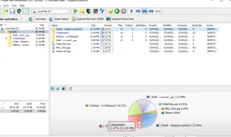 Folder Size: Folder size results with a disk usage pie chart