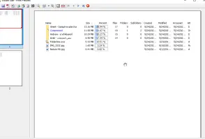 Folder Size: Print preview of a folder size report in a file list
