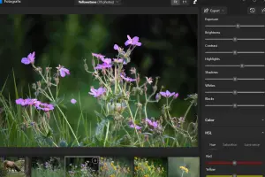 Fotografix screenshot 1
