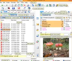 freeCommander screenshot 2
