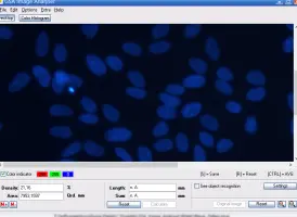 GSA Image Analyser screenshot 1