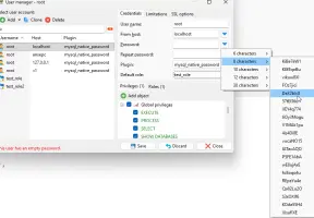 HeidiSQL screenshot 1