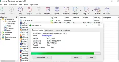 Internet Download Manager: Download Manager window with an active download progress dialog
