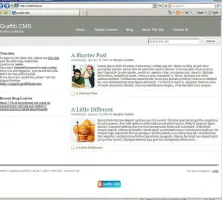 Screenshot of Internet Explorer showing Graffiti C M S web page.
