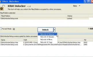 IObit Unlocker screenshot 3