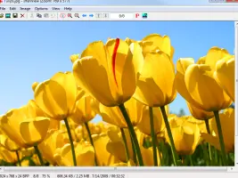 IrfanView Portable screenshot 1