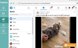download fb video