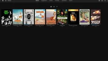 Jellyfin Movie Library Screen