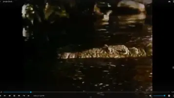 Jellyfin Video Playback Screen