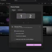 Lively Wallpaper: Choose Display dialog with monitor selection and wallpaper placement options
