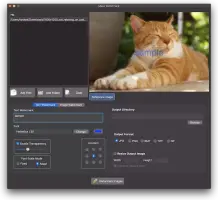 Mass Watermark screenshot 2