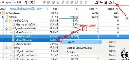 Delete the Largest files of the hard disk!