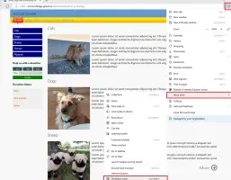 Microsoft Edge Dev screenshot 4