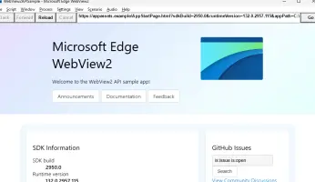 WebView2APISample app running