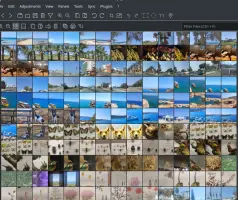Nomacs screenshot 2