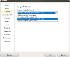 oCam screenshot 3