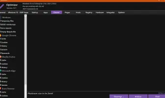 Optimizer: Cleanup categories for Windows and browser data