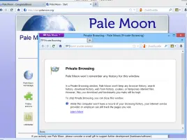 Pale Moon screenshot 4