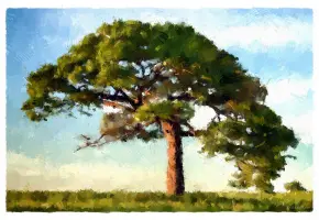 Portable FotoSketcher screenshot 1