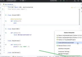 Python interpreter selector