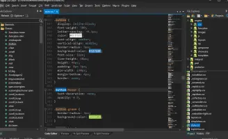 Rapid CSS Editor screenshot 2