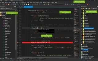 Rapid PHP Editor screenshot 2