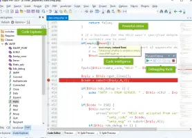 Rapid PHP Editor screenshot 3