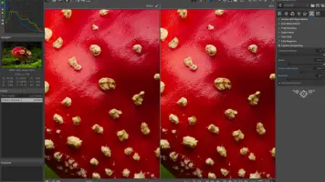 RawTherapee screenshot 2