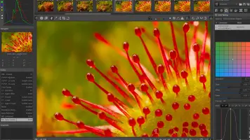 RawTherapee Screenshot