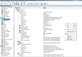 SIW | System Summary