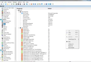 SIW | BIOS
