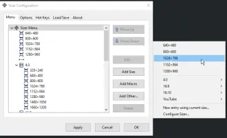 Sizer screenshot 1